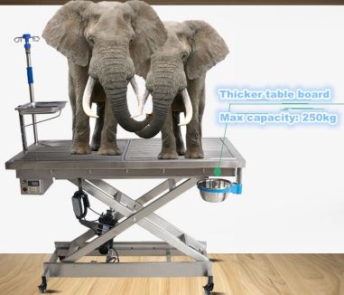 Table de chirurgie vétérinaire